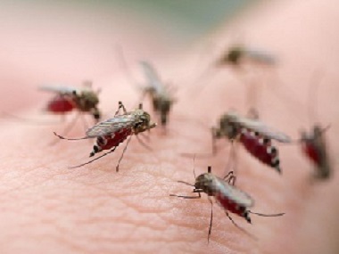 范湖四害消杀公司杀死蚊子和苍蝇的有效方法有哪几个