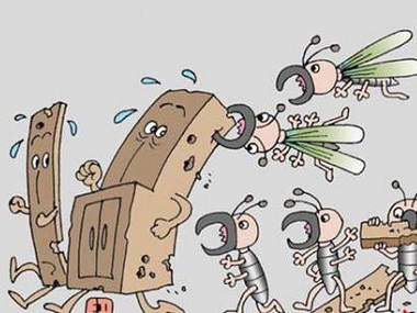 佛山预防白蚁公司应该如何防治分飞季的白蚁