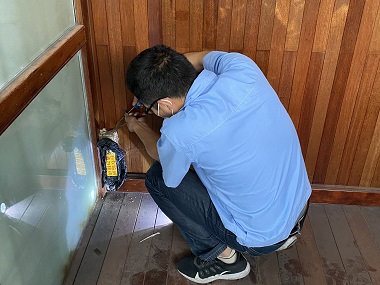 乐平白蚁消杀公司家里闹白蚁怎么办?先分清是散白蚁还是家白蚁!