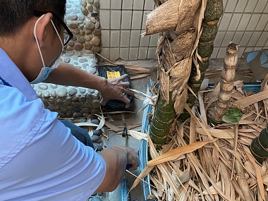 范湖白蚁防治——怎么避免家里有白蚁侵扰