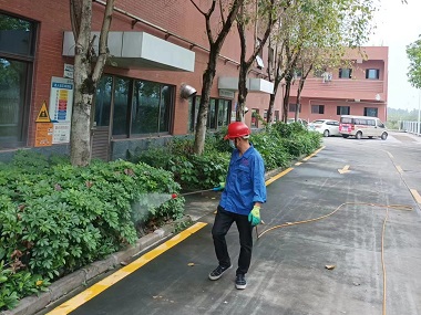 云东海消杀四害机构绿化带蚊蝇防治怎么做