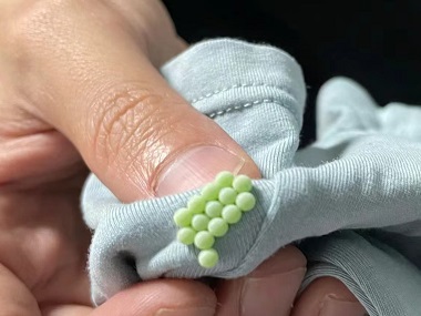 西南病媒生物防控公司科学防治：三步走彻底除臭虫