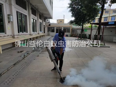 河口下水道灭蚊虫工程