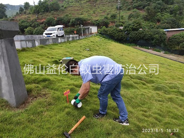 范湖水利工程红火蚁防治