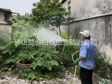 乐平社区消灭蚊子工程