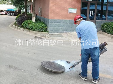 河口杀灭蟑螂蚊蝇工程