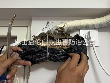 迳口房屋白蚁诱杀工程