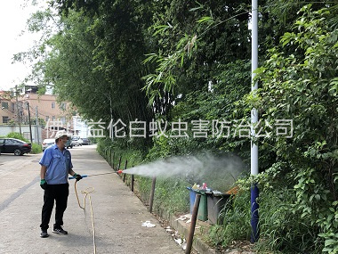 范湖登革热防控消杀工程